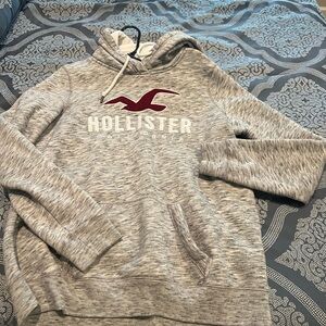 Hollister Hoodie Size: Large